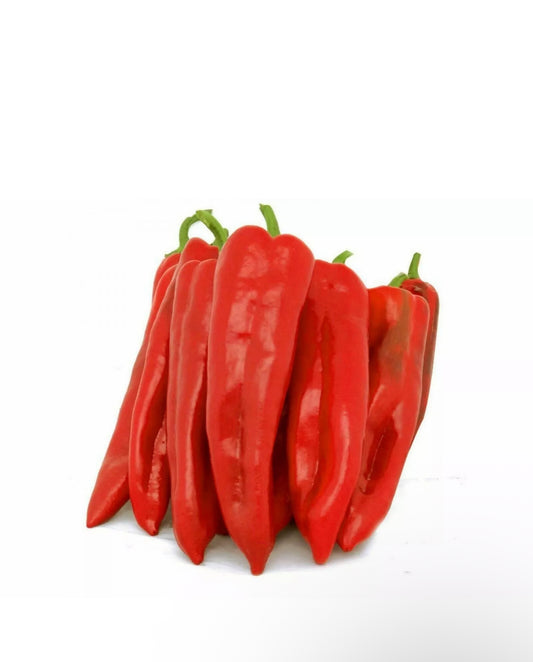 Long Pepper Tatase