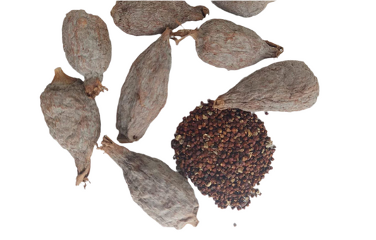 Alligator Pepper Atare 3pcs