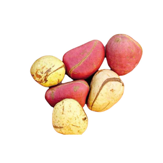 Kola Nut Obi 4pcs